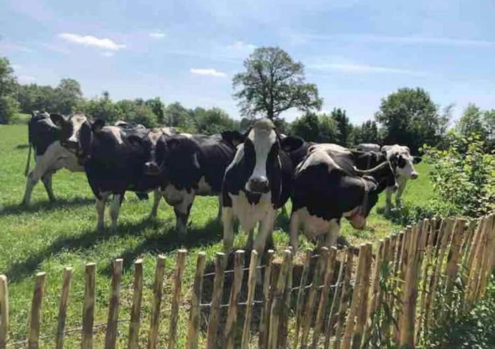 Statige Boerderijwoning Met Vrij Uitzicht En Tuin Vila Hoogzand Exterior foto